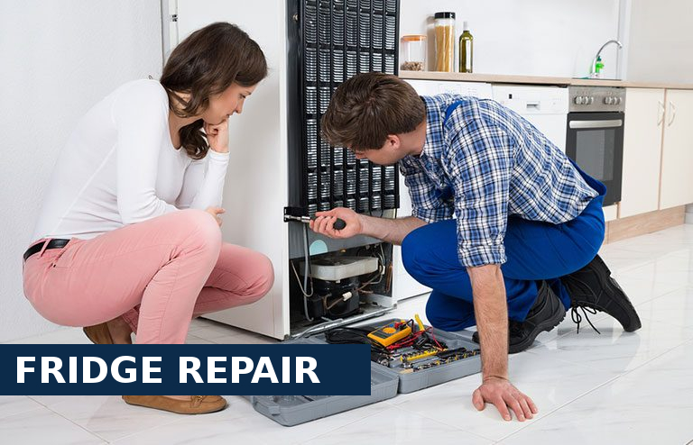 Fridge Repair Longfield